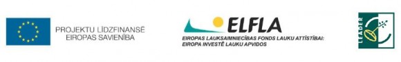 stratēģijas regularitātes junioru iespējas