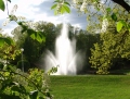 DSC09935xxx.jpg