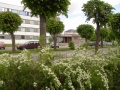 DSC06601xxx.jpg