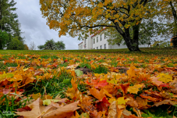 Rudens elpa Madonā