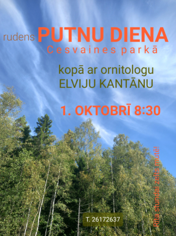 Lielāks foto